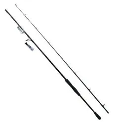 Shimano Yasei AX Pike XH Spin 250 Cm 40-120 G