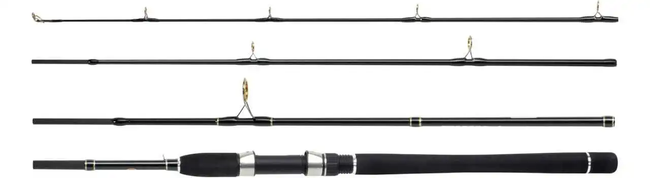 WFT Sea Dart Seelachs 4-teilig 2,16 Meter 30-110 G