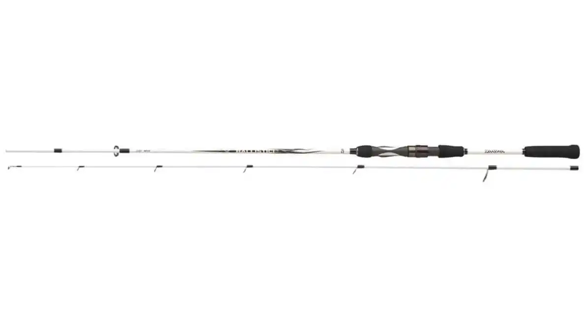 Daiwa Ballistic LTD Extra Fast Spin 2,20 Meter 20-60 G