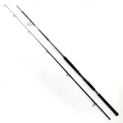 Shimano BeastMaster Catfish Static 300cm -300g