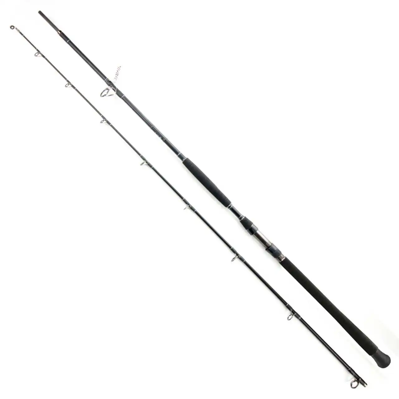 Daiwa Exceler Catfish 270cm 200-600g