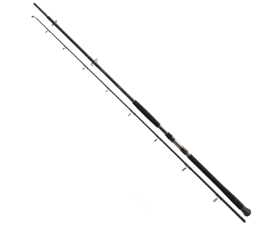 Daiwa Exceler Catfish 330cm 200-600g