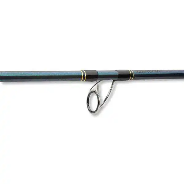 Daiwa Saltist Sea 270 Cm 40-110g – Bild 5