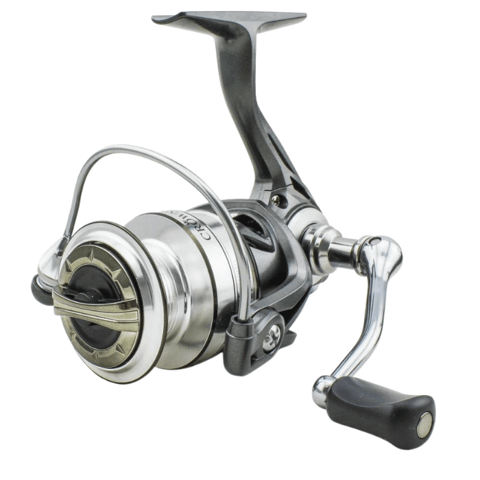 Sänger Crowny – Bild 3