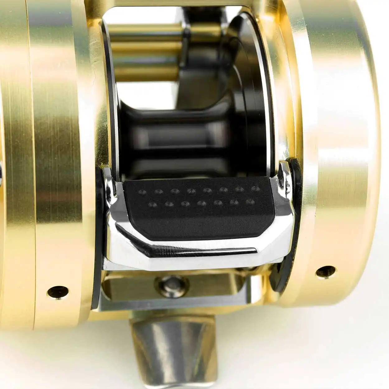 Shimano Calcutta Conquest 201 A – Bild 5