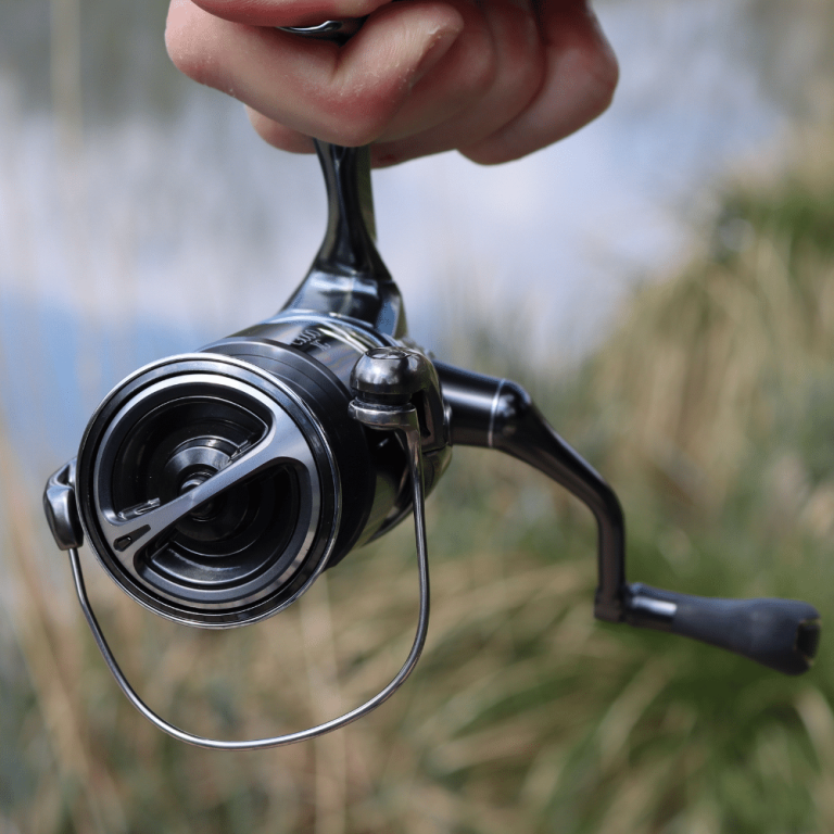 Shimano Stella C 3000 XG FK – Bild 2