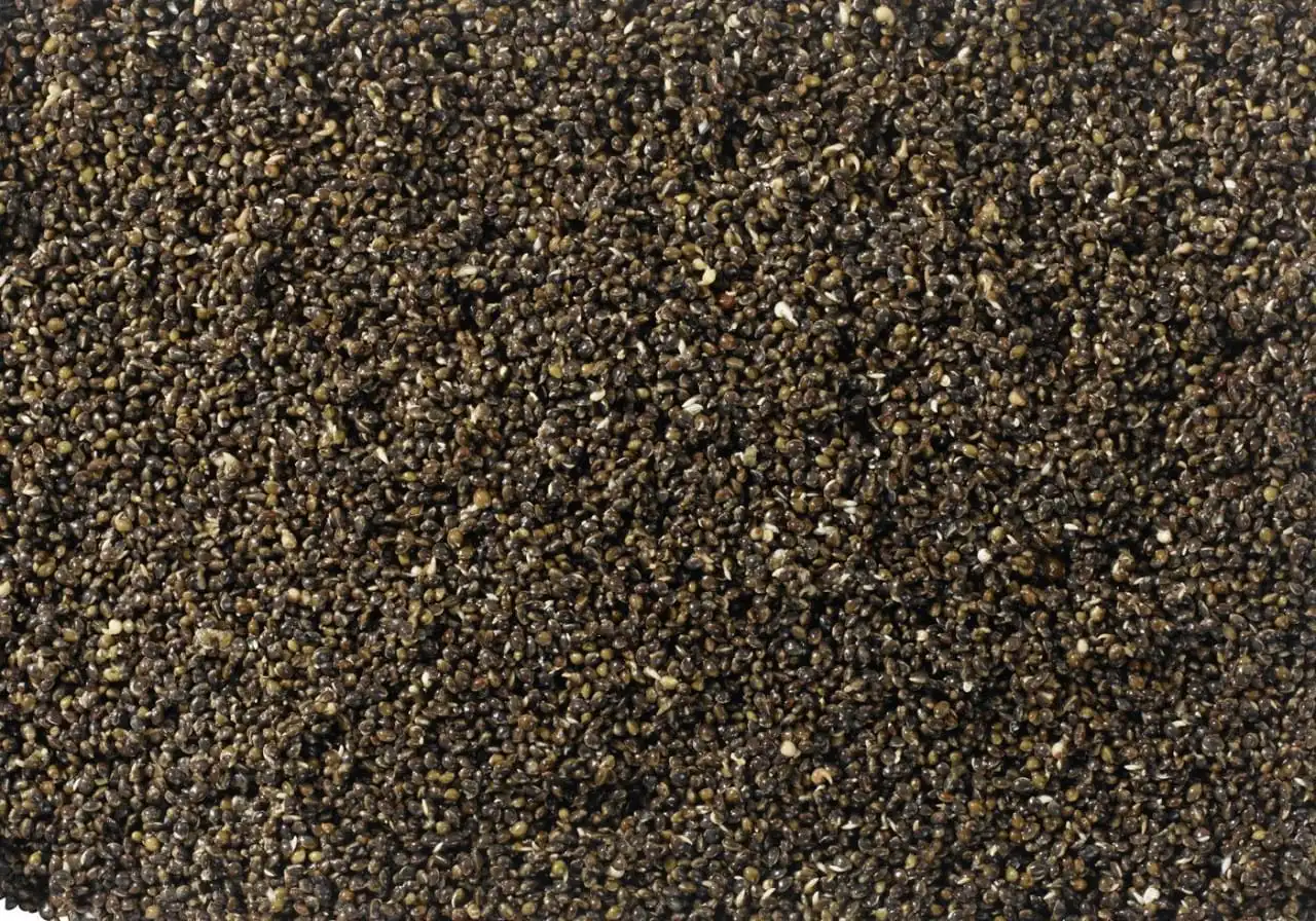 Pelzer Carp Corn Hemp Natur 800g – Bild 2