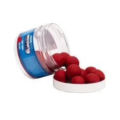 Nash Bait Hot Tuna Pop Ups 15mm 35g