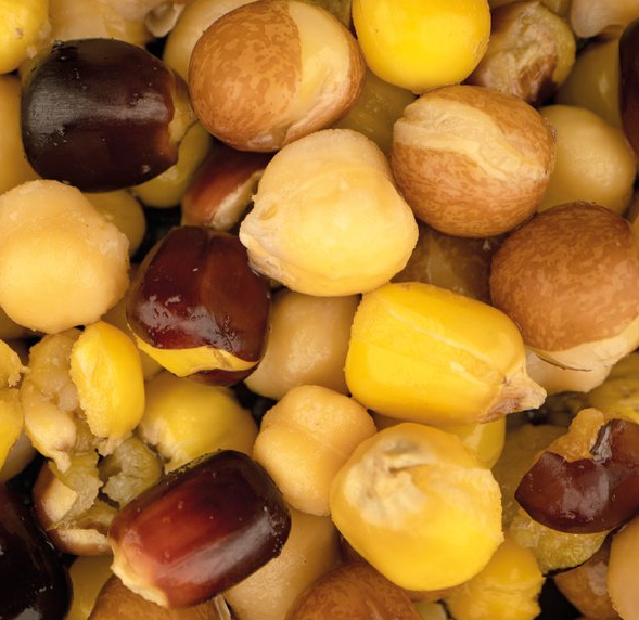 Nash Large Seed Mix 500 Ml – Bild 2