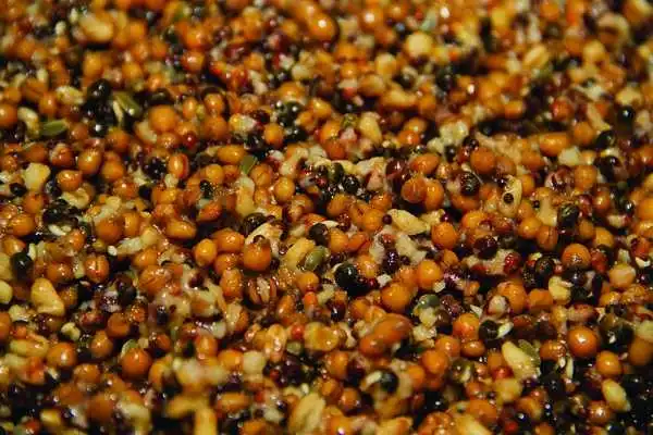 Dynamite Baits Frenzied Particels Mixed 600g – Bild 2