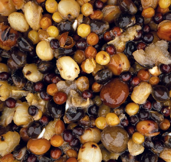 Nash Small Seed Mix 2,5 Liter – Bild 2