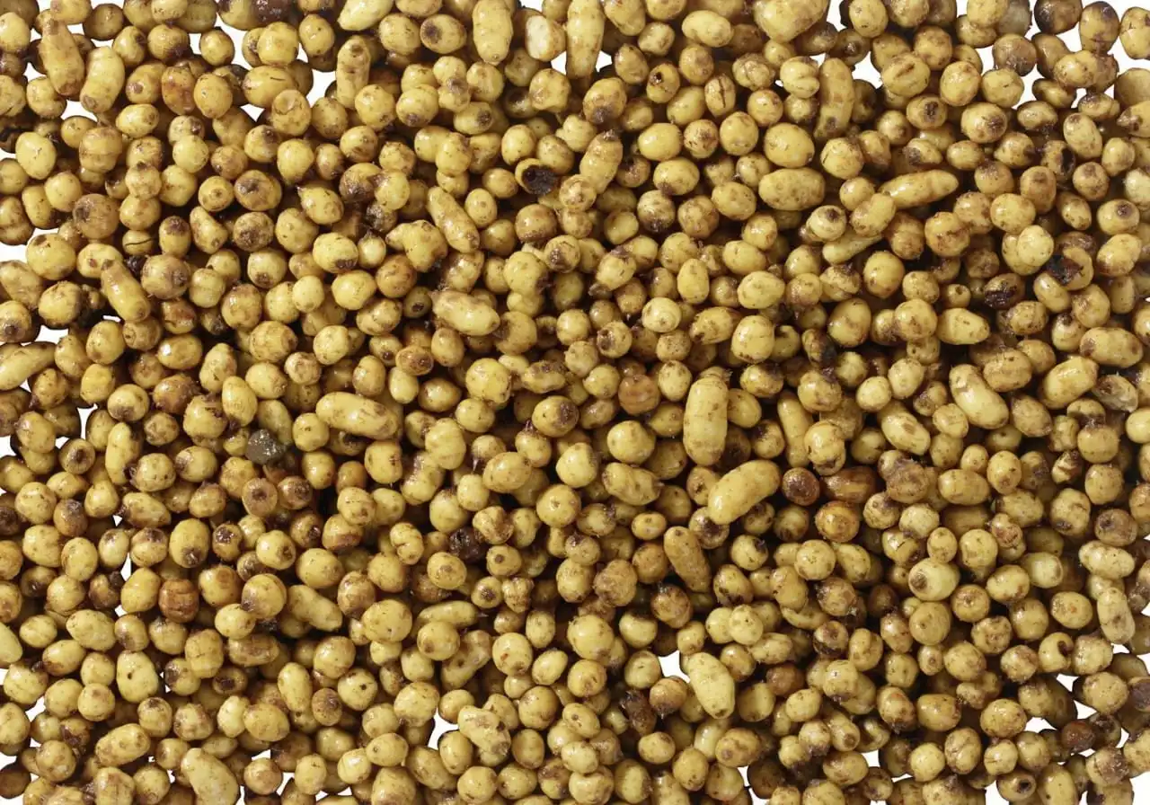 Pelzer Carp Corn Super Sweet Tigernut 800g – Bild 2