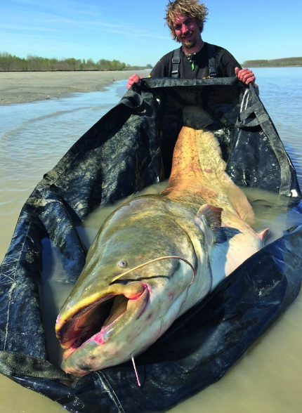 Black Cat Hard Core Wiegematte 210x156 Cm – Bild 3